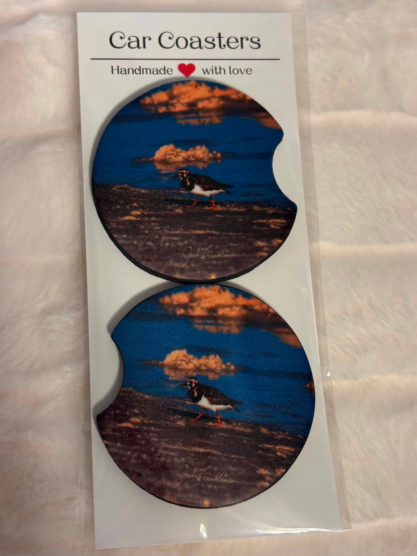 Tiny Shore Explorer – Pensacola Beach Car Coasters
